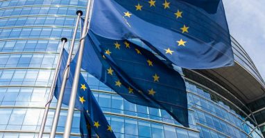 EU Flags Flying