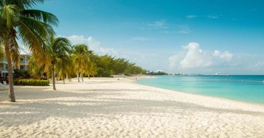 Cayman Islands beach view and palm trees